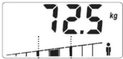 SOEHNLE Body Balance Slim F5 - DATAINLAESNING - 7