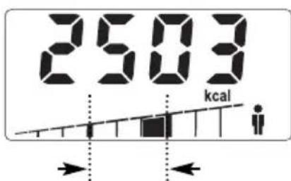 SOEHNLE Body Balance Slim F5 - IMMISSIONE DATI - 11