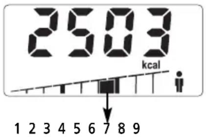 SOEHNLE Body Balance Slim F5 - ENERGIASZUKSEGLET - 1