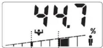 SOEHNLE Body Balance Slim F5 - VPIS PODATKOV - 10