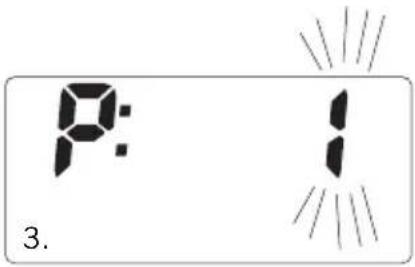 SOEHNLE Body Balance Slim F5 - ENTRADA DE DATOS - 2