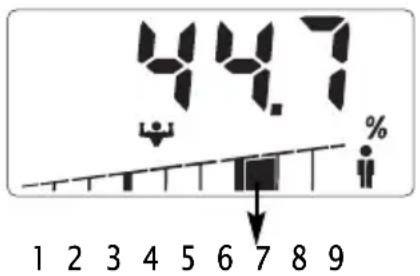SOEHNLE Body Balance Slim F5 - PapdsIyua: - 1