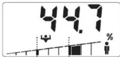 SOEHNLE Body Balance Slim F5 - Euayyn 8eouevov - 10