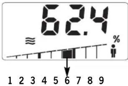 SOEHNLE Body Balance Slim F5 - PORCION DE AGUA CORPORAL - 1