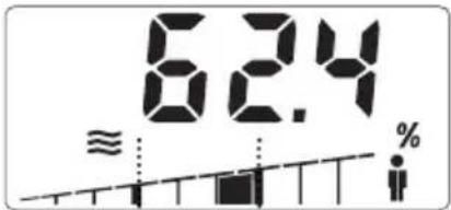 SOEHNLE Body Balance Slim F5 - TIEDONSYÖTTÖ - 9