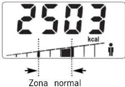 SOEHNLE Body Balance Slim F5 - INDTRODUCAO DE DADOS - 11