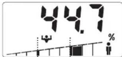 SOEHNLE Body Balance Slim F5 - ZADÁVÁNÍ UDAJU - 10