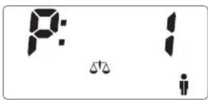 SOEHNLE Body Balance Slim F5 - INSKRIVNING AV DATA - 12