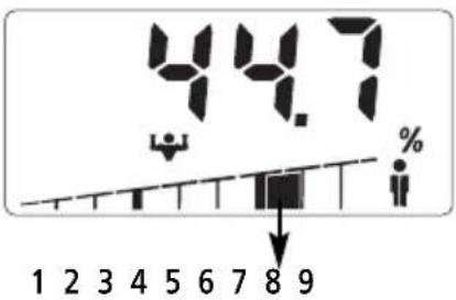 SOEHNLE Body Balance Slim F5 - Példa: - 1