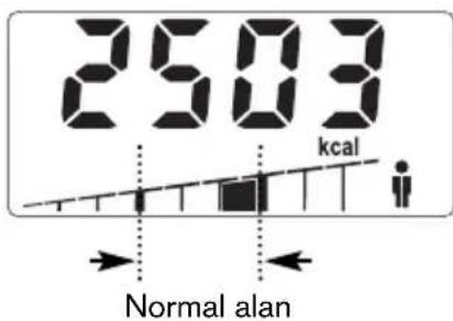 SOEHNLE Body Balance Slim F5 - Verigiri - 11