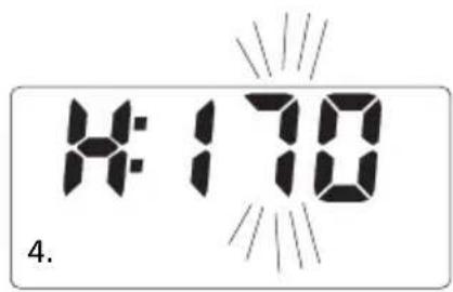 SOEHNLE Body Balance Slim F5 - VPIS PODATKOV - 3