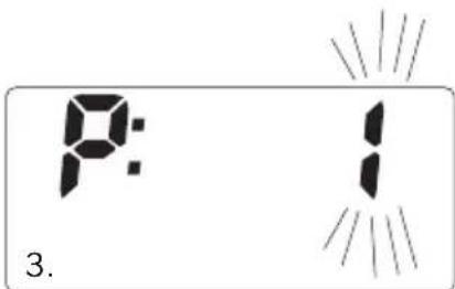 SOEHNLE Body Balance Slim F5 - DATAINLAESNING - 2