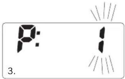 SOEHNLE Body Balance Slim F5 - IMMISSIONE DATI - 2