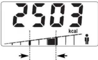 SOEHNLE Body Balance Slim F5 - TIEDONSYÖTTÖ - 11