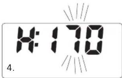 SOEHNLE Body Balance Slim F5 - DATAINLAESNING - 3