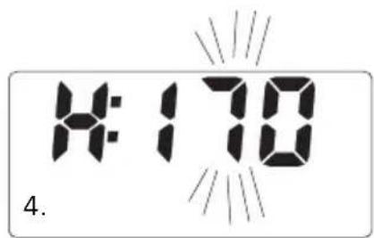 SOEHNLE Body Balance Slim F5 - INSKRIVNING AV DATA - 3