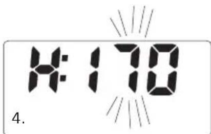 SOEHNLE Body Balance Slim F5 - GEGEVENSINVOER - 4