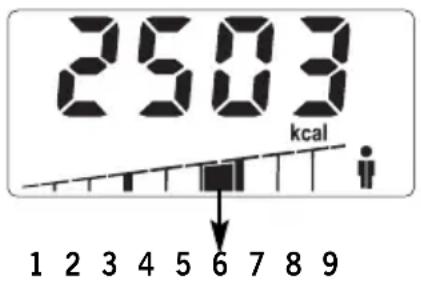 SOEHNLE Body Balance Slim F5 - CONSUMO ENERGETICO - 1