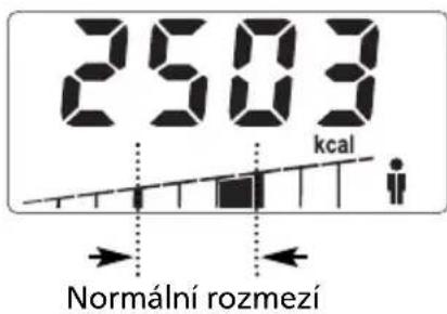 SOEHNLE Body Balance Slim F5 - ZADÁVÁNÍ UDAJU - 11