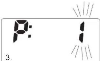 SOEHNLE Body Balance Slim F5 - GEGEVENSINVOER - 3