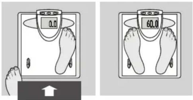 SOEHNLE Body Balance New York - Saisie de données - 8