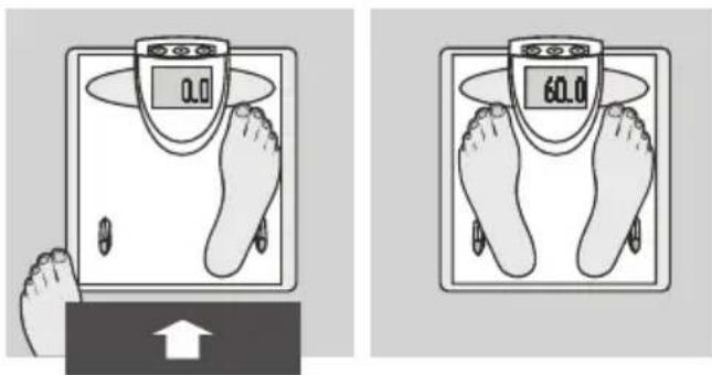 SOEHNLE Body Balance New York - Introdução de dados - 8