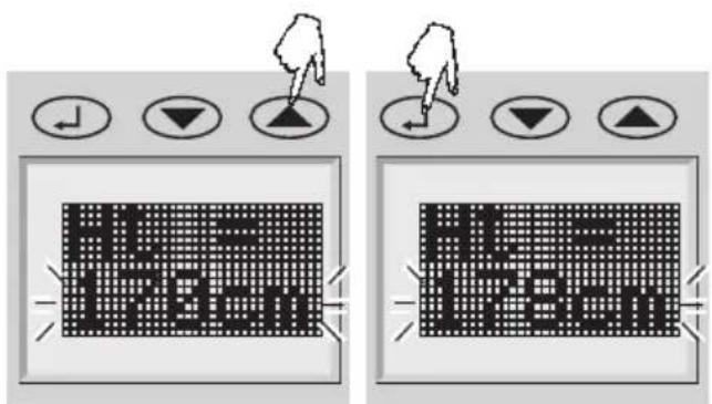 SOEHNLE Body Balance New York - Unos podataka - 2