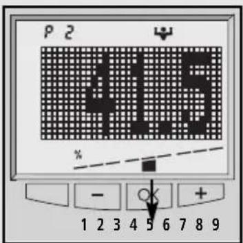 SOEHNLE Body Balance New York - Muskelandel - 1