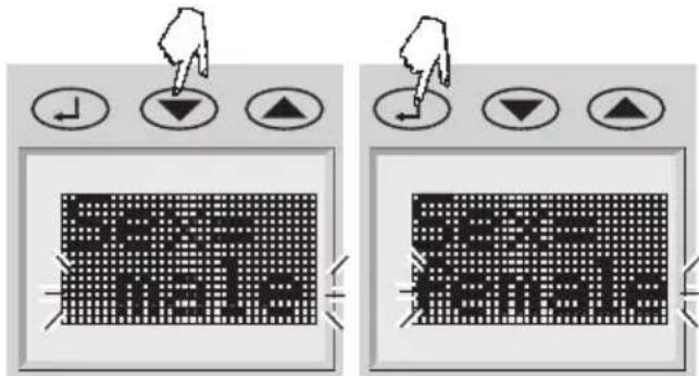 SOEHNLE Body Balance New York - Wichtige Hinweise - 13