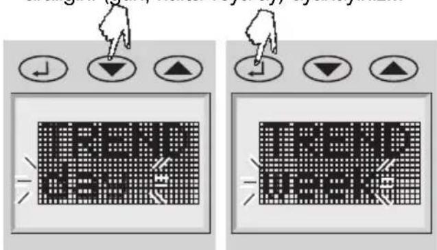 SOEHNLE Body Balance New York - Veri girişi - 6