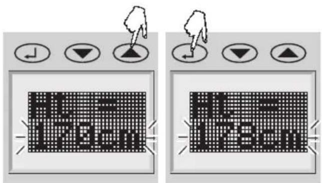 SOEHNLE Body Balance New York - Immissione dei dati - 2