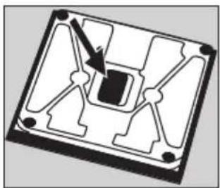 SOEHNLE Body Balance New York - Elemcsere - 1