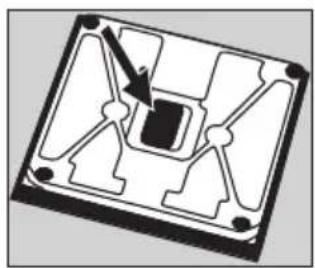 SOEHNLE Body Balance New York - Pomembni napotki - 2