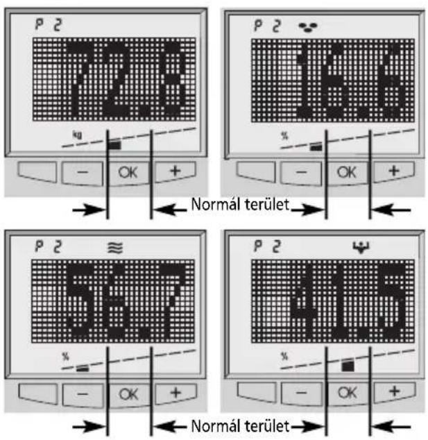 SOEHNLE Body Balance New York - Testelemzés - 2