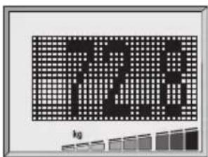 SOEHNLE Body Balance New York - Analýza je možná jenom naboso. Osobní údaje musí být předtím zadány (str. 124). - 1