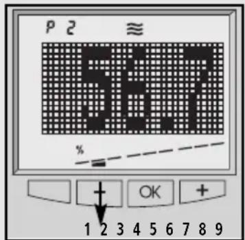 SOEHNLE Body Balance New York - Delež vode v telesu - 1