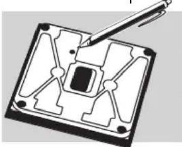 SOEHNLE Body Balance New York - Preparación - 10