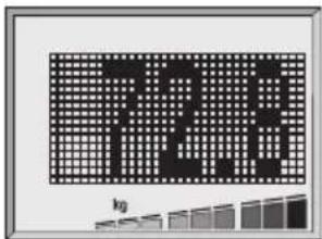 SOEHNLE Body Balance New York - Analyse corporelle - 1