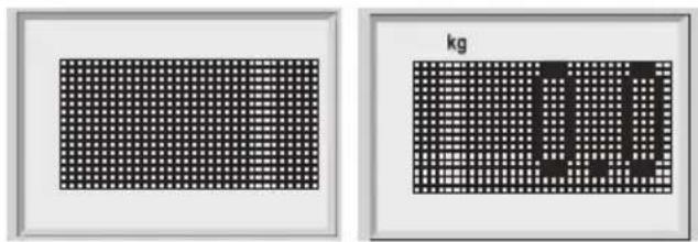 SOEHNLE Body Balance New York - Indlæsning af data - 1