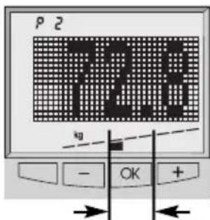 SOEHNLE Body Balance New York - Analizo je možno izvesti samo ko smo bosi. Pred tem je potrebno vpisati osebne podatke (s.164). - 2