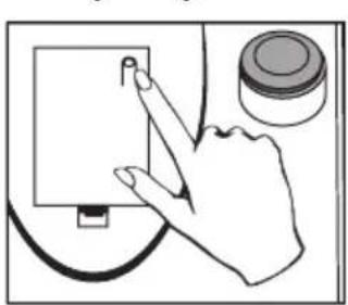 SOEHNLE Body Balance New York - 9