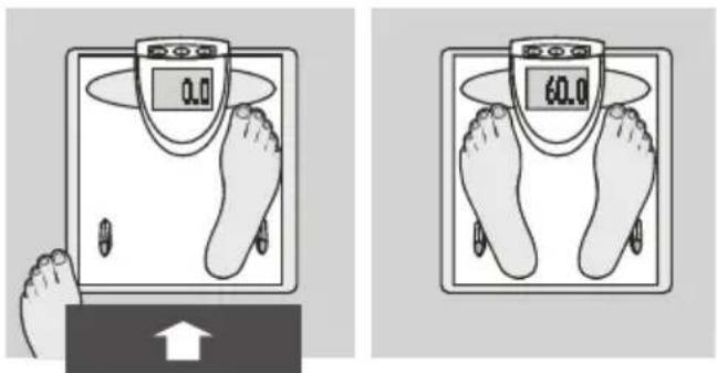 SOEHNLE Body Balance New York - Vpis podatkov - 5