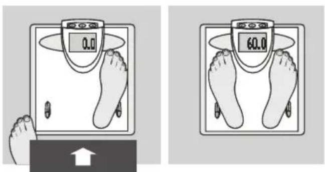 SOEHNLE Body Balance New York - Immissione dei dati - 8