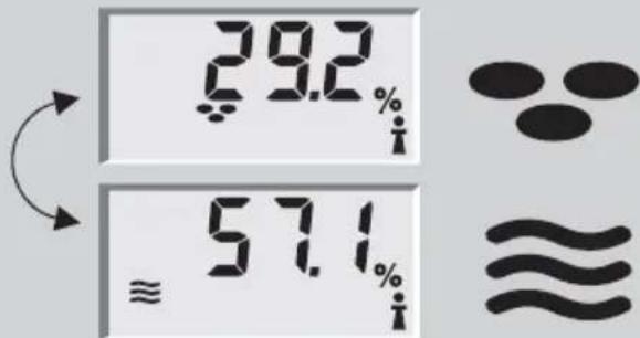 SOEHNLE Body Balance Caribic - Kropsanalyse - 8