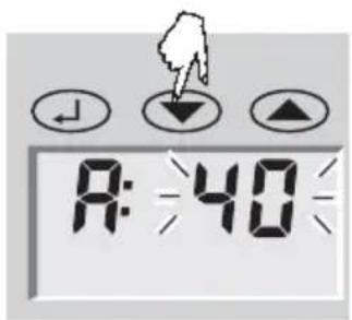 SOEHNLE Body Balance Caribic - Dateneingabe - 5