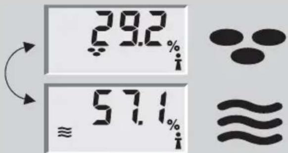 SOEHNLE Body Balance Caribic - Kehonanalyysi - 3