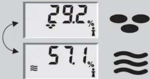 SOEHNLE Body Balance Caribic - Lichaamsanalyse - 3