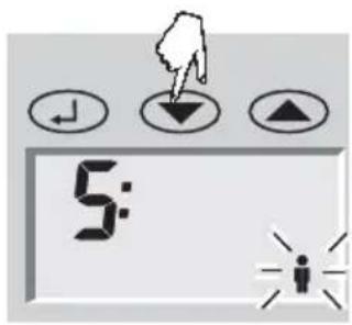 SOEHNLE Body Balance Caribic - Saisie de données - 7