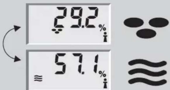 SOEHNLE Body Balance Caribic - Testelemzés - 3