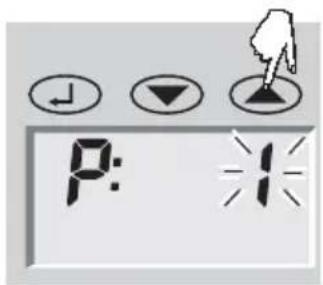 SOEHNLE Body Balance Caribic - Immissione dei dati - 1